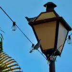 Pirenópolis: passarinho repousa em luminária sob o céu azul