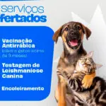 Prefeitura de Pirenópolis leva vacinação antirrábica gratuita ao Alto da Lapa