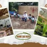 Visitas Escolares Gratuitas: COEPi Abre Agenda em Pirenópolis