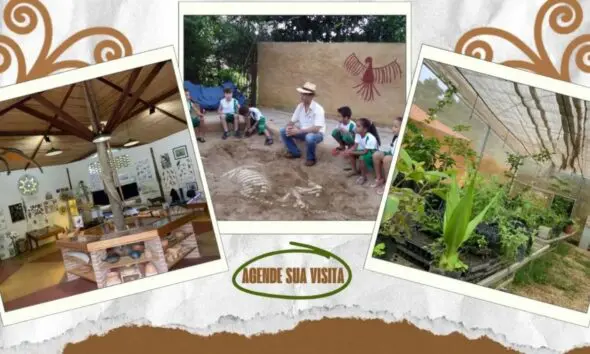 Visitas Escolares Gratuitas: COEPi Abre Agenda em Pirenópolis