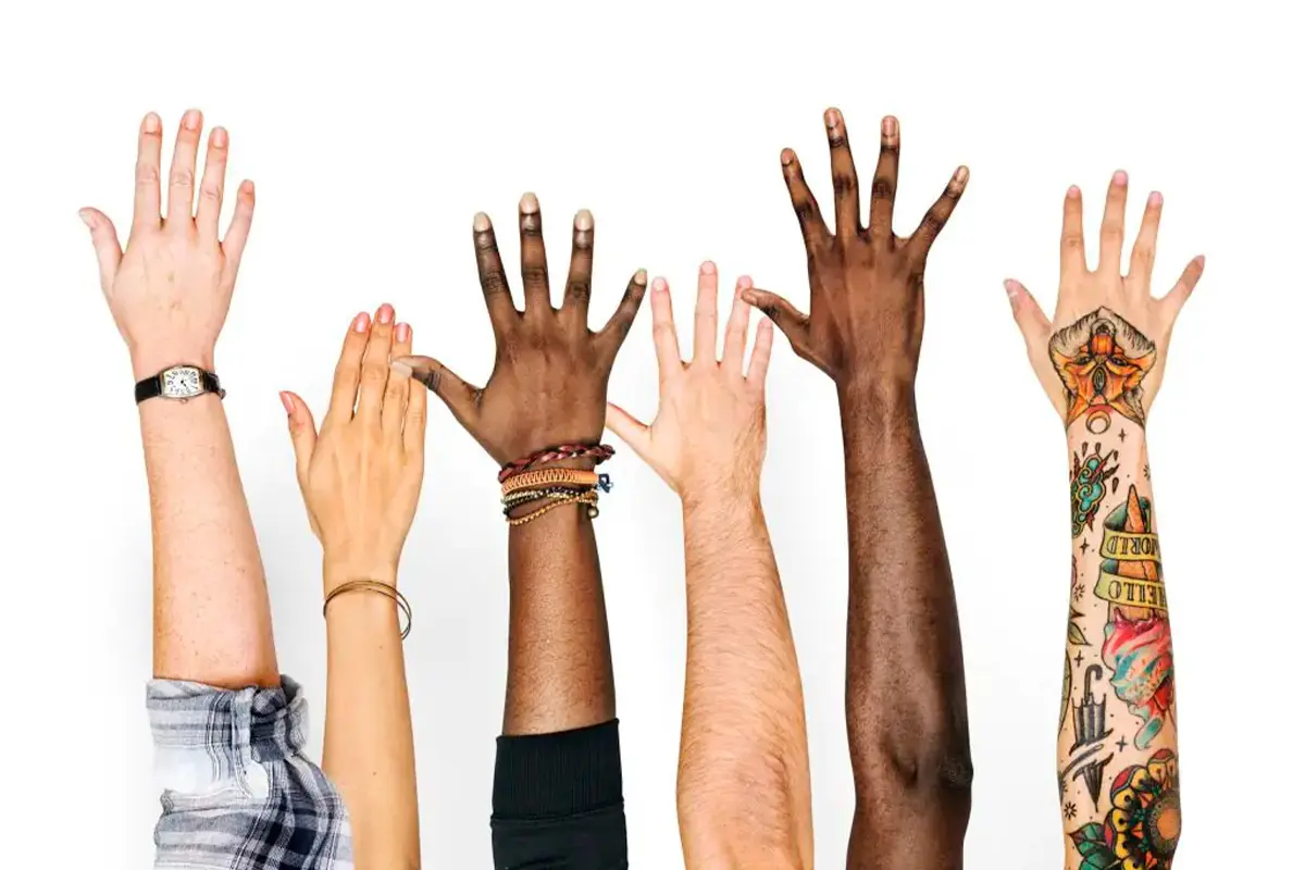 Conselho de Política Cultural tem inscrições até amanhã: Não perca essa chance!