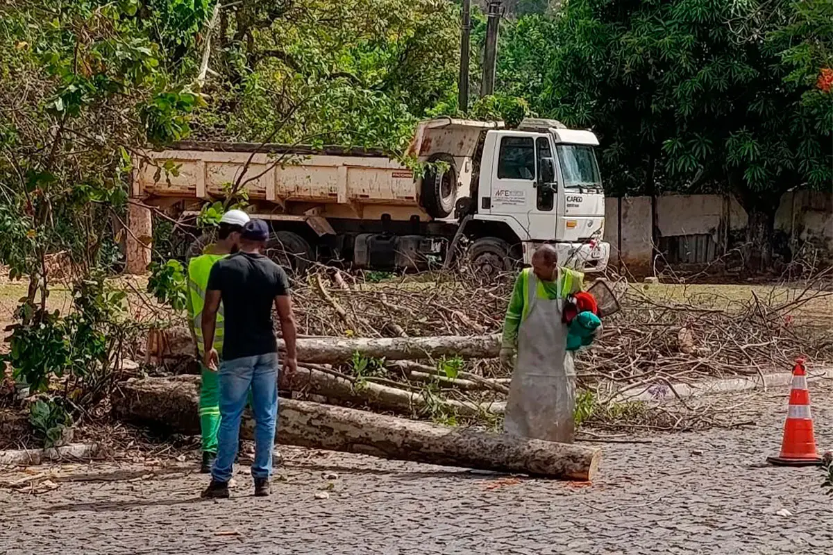 Imagem da história