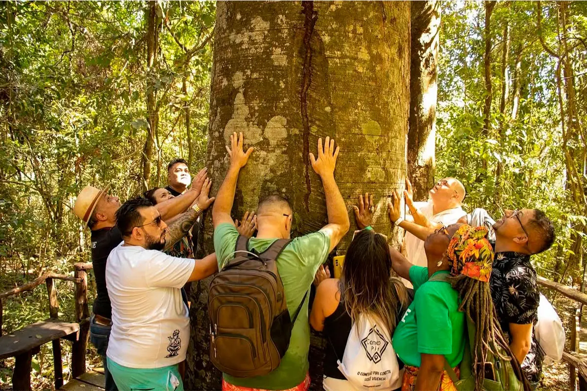 Hoje é Dia da Árvore: Pirenópolis precisa pensar suas árvores