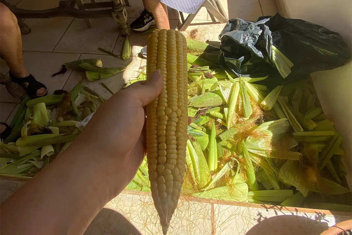 Jeitos pirenopolinos de dizer “eu te amo”