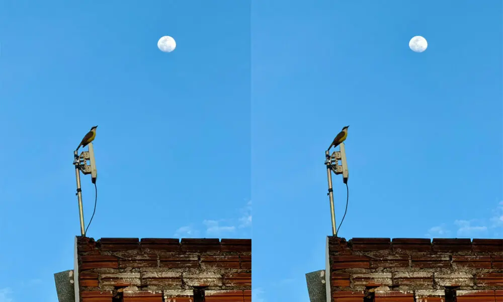 Lua no quintal: céu, passarinho e silêncio em Pirenópolis