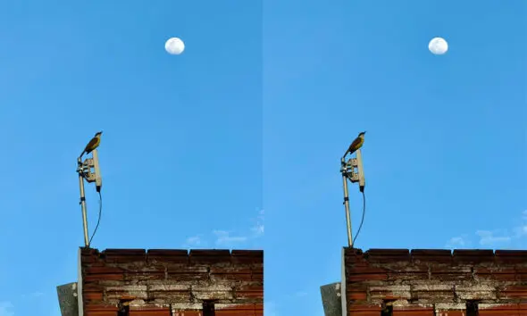 Lua no quintal: céu, passarinho e silêncio em Pirenópolis