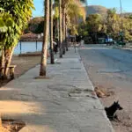 Manhã em Pirenópolis revela uma cidade tranquila e arborizada