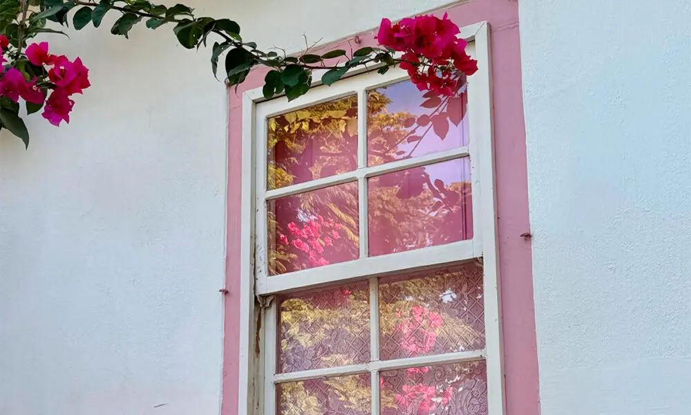 Pirenópolis em uma janela: flores, cores e memória