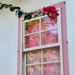 Pirenópolis em uma janela: flores, cores e memória