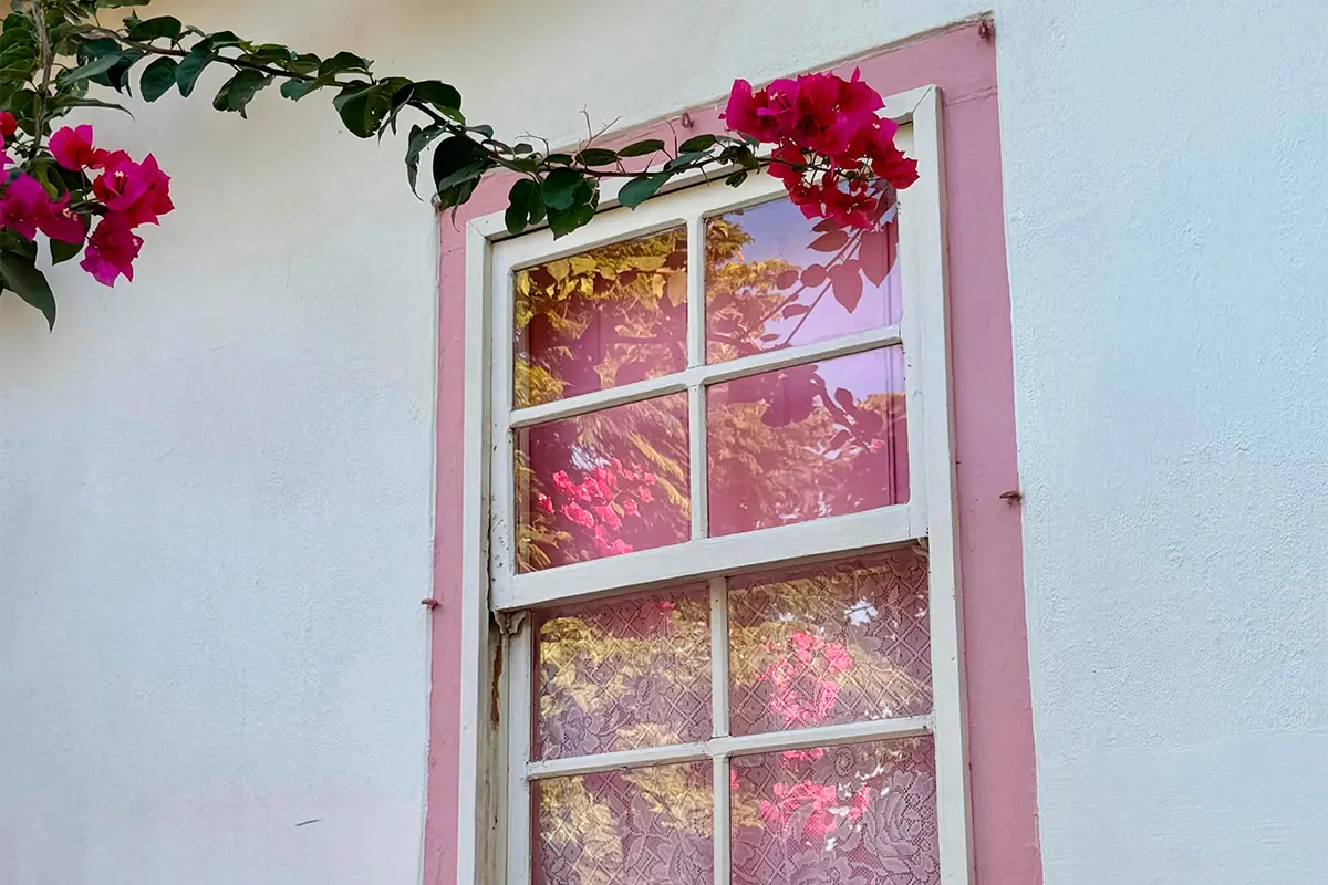 Pirenópolis em uma janela: flores, cores e memória