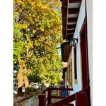 Pirenópolis entre árvores, casas antigas e ruas de pedra