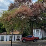 Previsão do tempo em Pirenópolis no Canto da Primavera