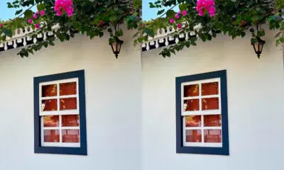 Primavera floresce sobre fachada colonial no Centro Histórico Primavera floresce sobre fachada colonial no Centro Histórico