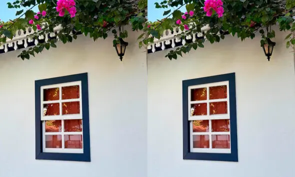 Primavera floresce sobre fachada colonial no Centro Histórico Primavera floresce sobre fachada colonial no Centro Histórico