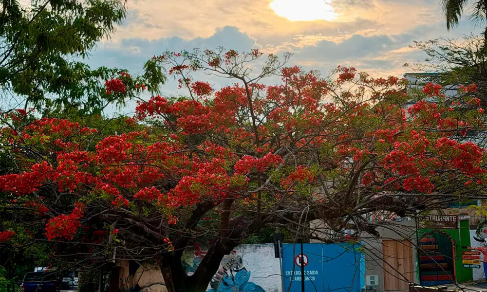 Aniversário de Pirenópolis: 299 anos às margens do Rio das Almas