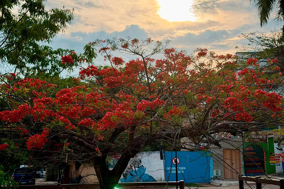 Aniversário de Pirenópolis: 299 anos às margens do Rio das Almas