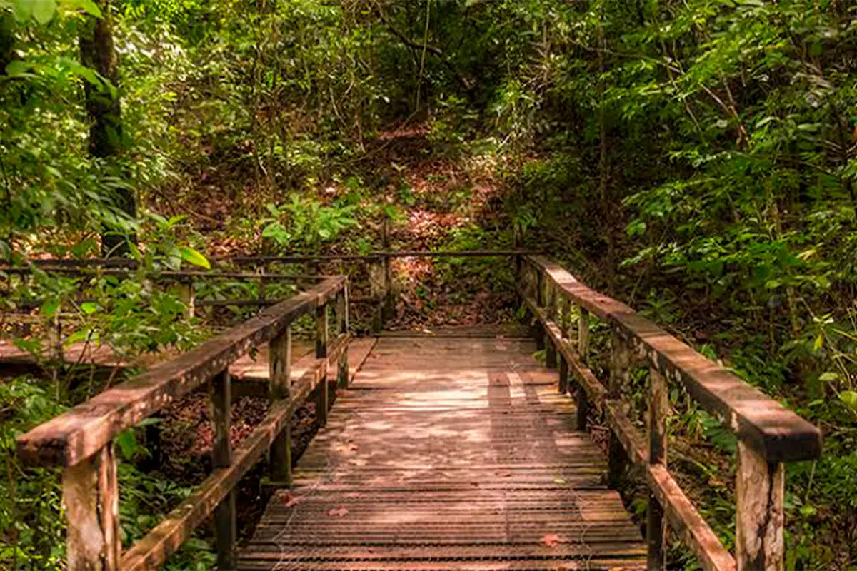 Serra dos Pireneus: 20 reservas se unem para proteger o Cerrado