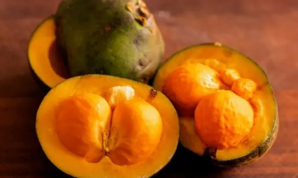 Festa do Pequi terá disputa pelo maior roedor de pequi de Goiás