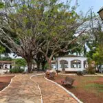 O encanto da Praça do Coreto pelas lentes de viajantes O encanto da Praça do Coreto pelas lentes de viajantes
