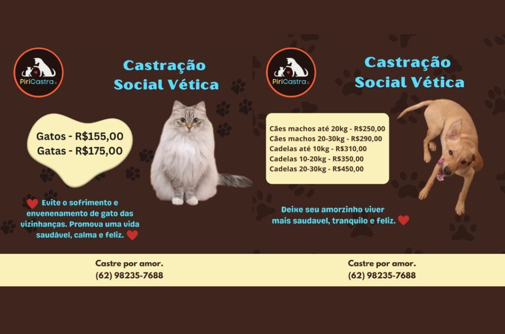 Conheça a PiriCastra: a ONG que transforma a vida dos animais em Pirenópolis - E se todos seguissem 2025 06 26T175442.605