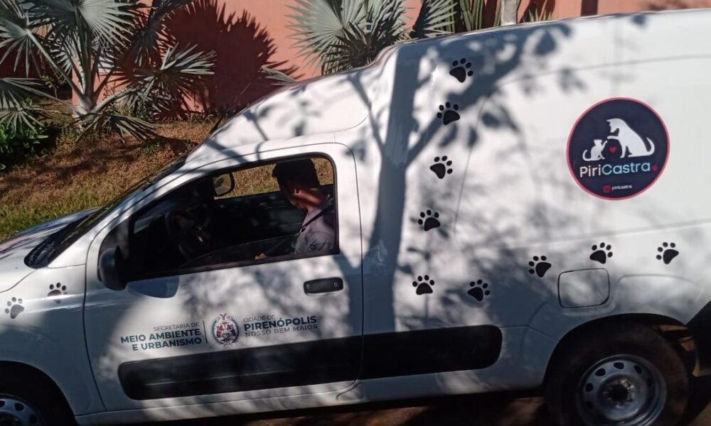 Conheça a PiriCastra: a ONG que transforma a vida dos animais em Pirenópolis - E se todos seguissem 2025 06 26T181930.831