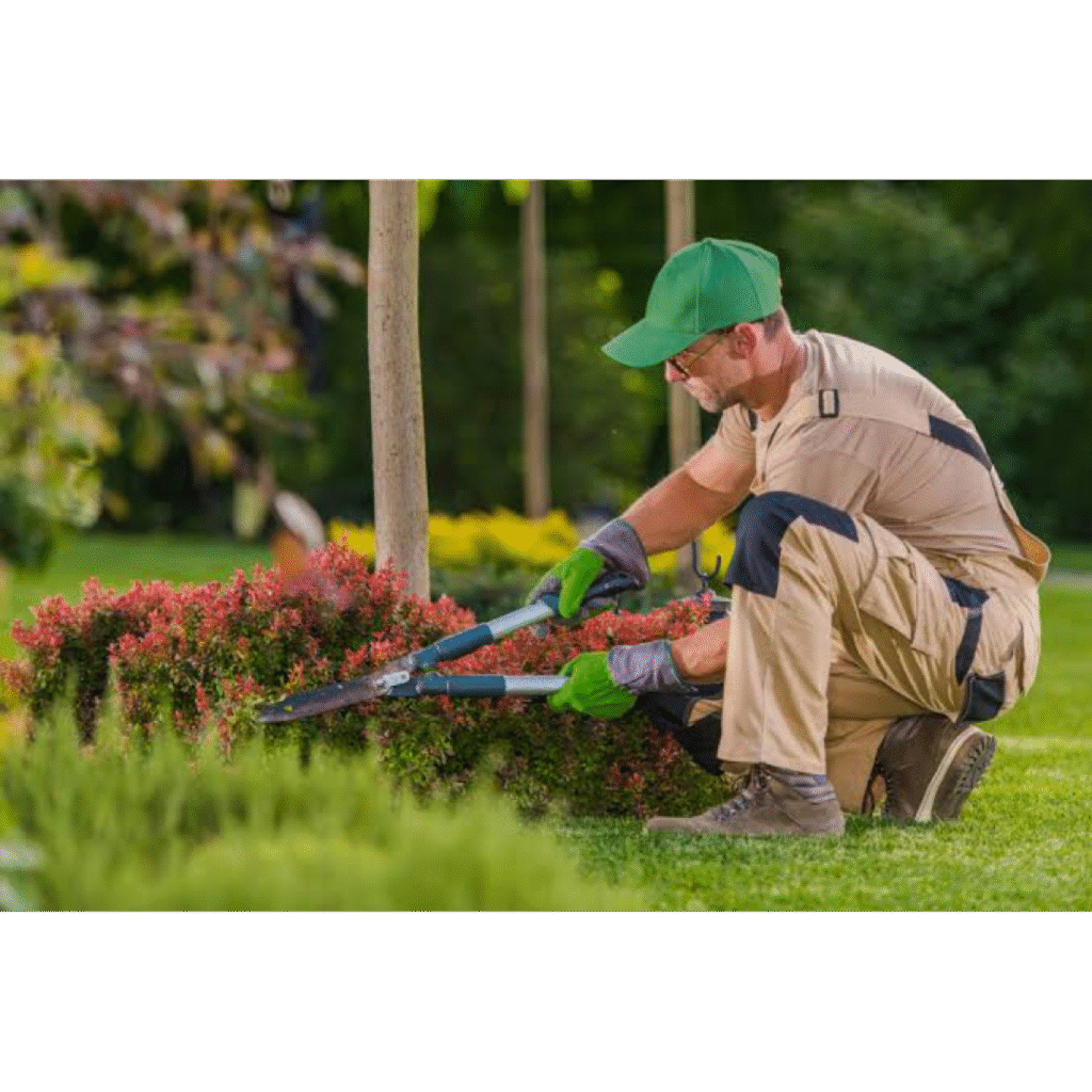 Criador Virrage Images | Crédito Shutterstock