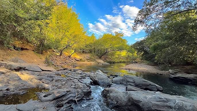 Mistérios do Rio: a Lenda que Faz Canoas se Moverem Sozinhas - IMG 5768