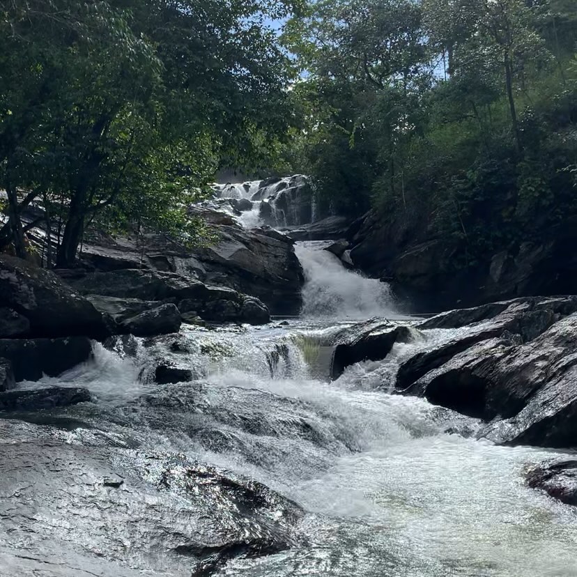 5 cachoeiras com trilhas leves para curtir em Pirenópolis - SaveClip.App 354411391 1191330824845063 1877478570068491402 n