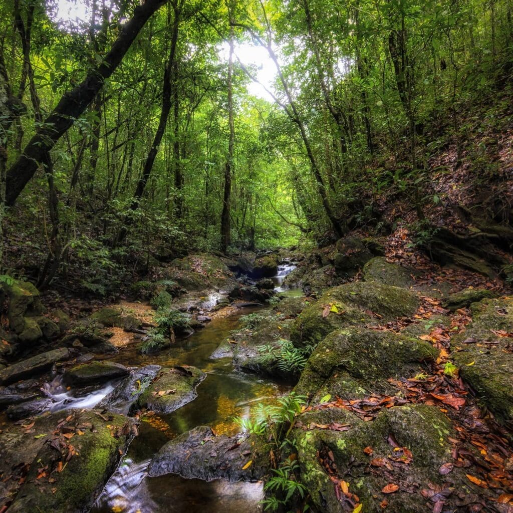 13 opções de lazer para aproveitar janeiro em Pirenópolis - fazendavagafogo 1750615102849
