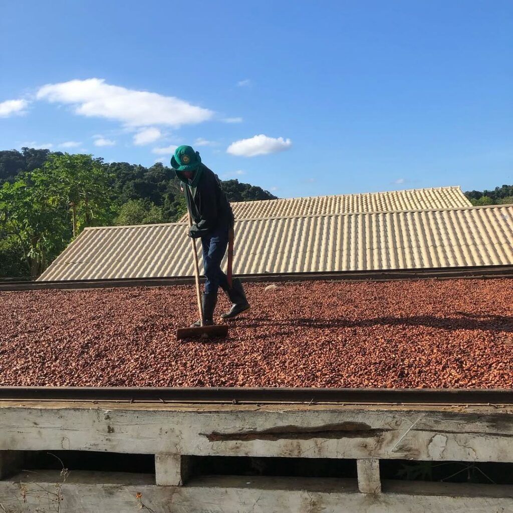 Trabalhador Rural: Grupo Gennesis contrata em Piri - IMG 3240