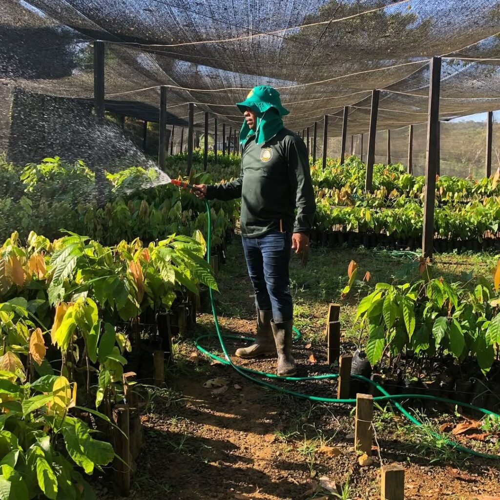 Trabalhador Rural: Grupo Gennesis contrata em Piri - IMG 3242