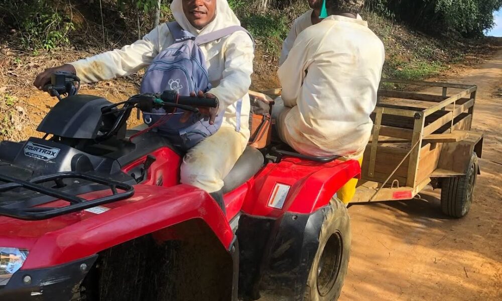 Trabalhador Rural: Grupo Gennesis contrata em Piri - IMG 3244