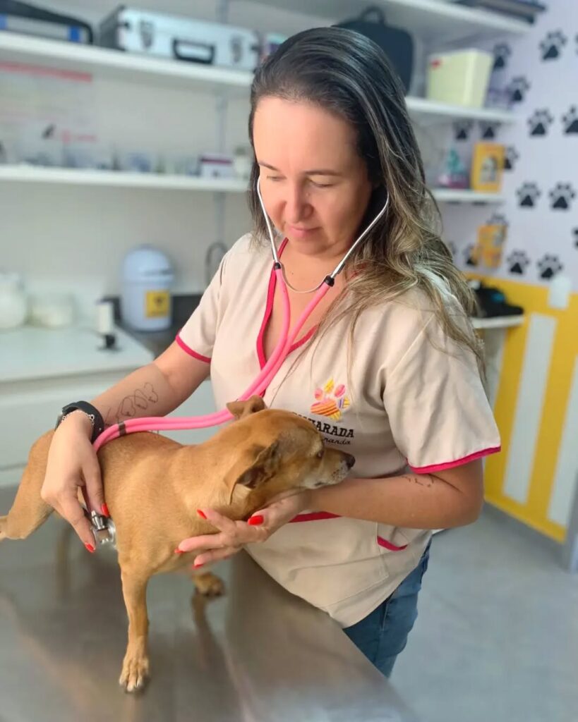 Bicharada cuida do seu pet com carinho e excelência - IMG 3577