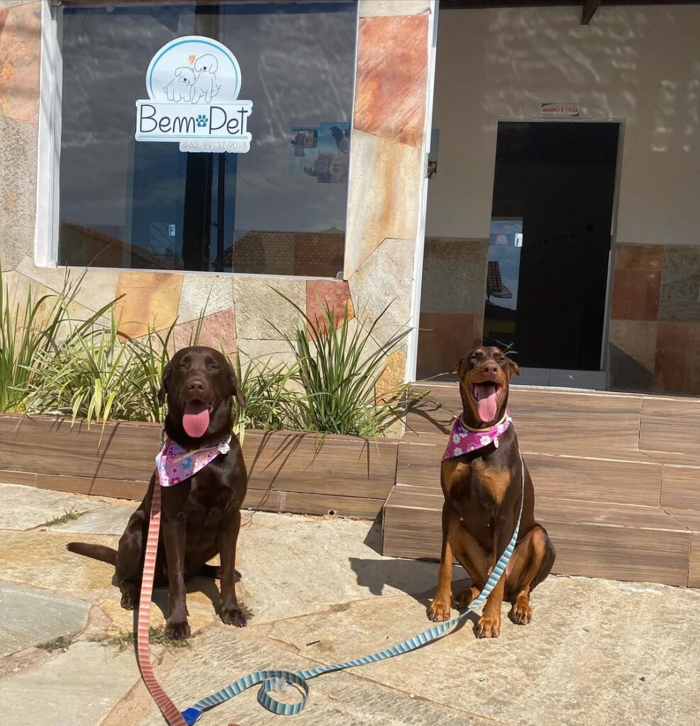 Bem Pet: cuidado e carinho para seu pet em Pirenópolis - IMG 3583