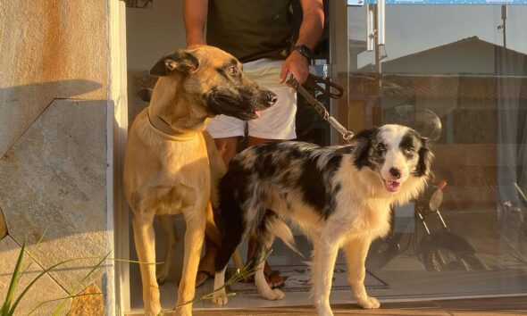 Bem Pet: cuidado e carinho para seu pet em Pirenópolis 1 Bem Pet: cuidado e carinho para seu pet em Pirenópolis - IMG 3586