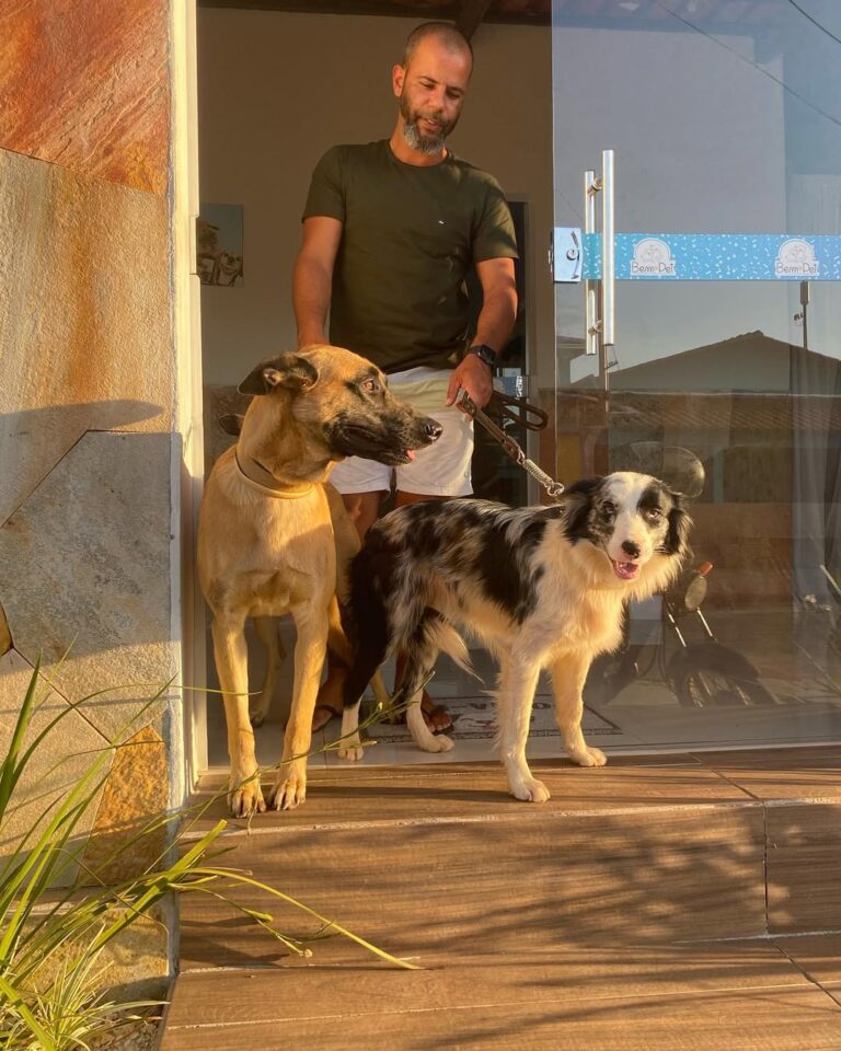 Bem Pet: cuidado e carinho para seu pet em Pirenópolis