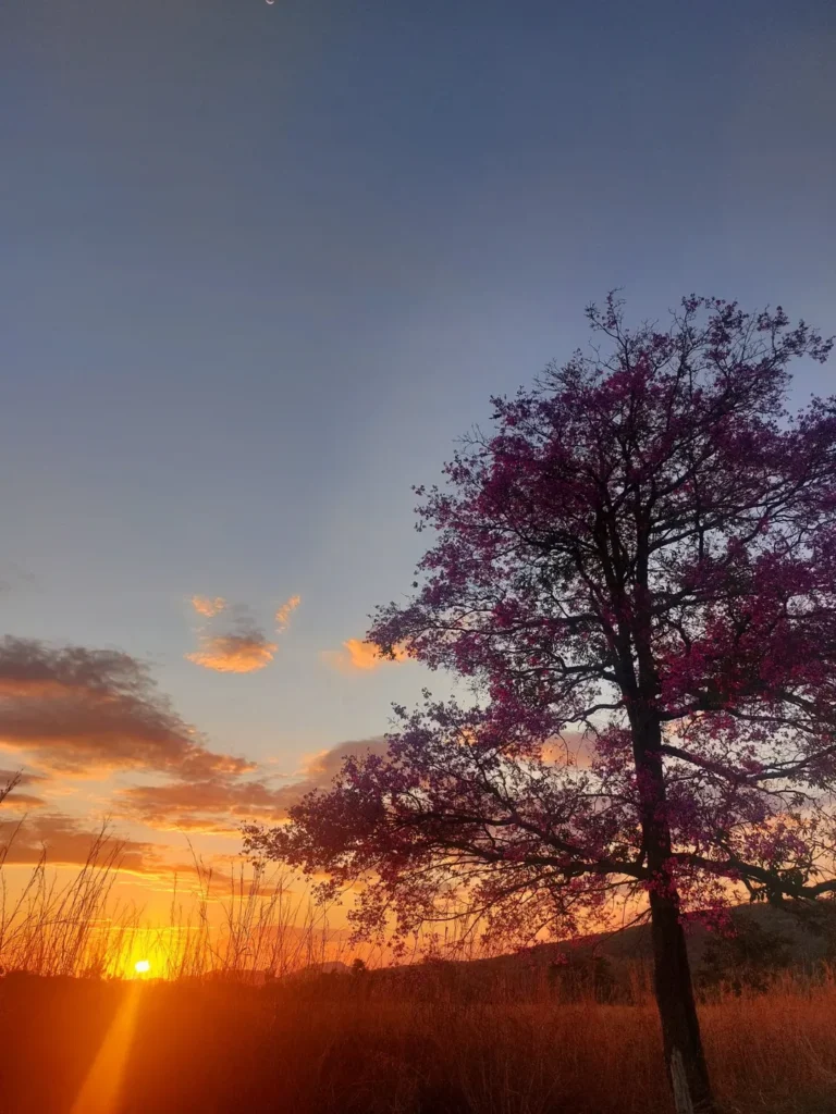 Chalé Fogaça Eco Boutique: natureza e sossego em Piri - IMG 4021