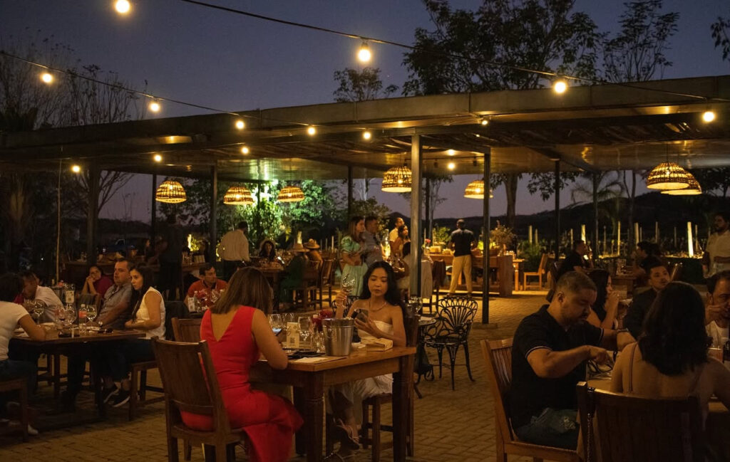 Festa da Colheita traz experiências únicas em julho - IMG 8829