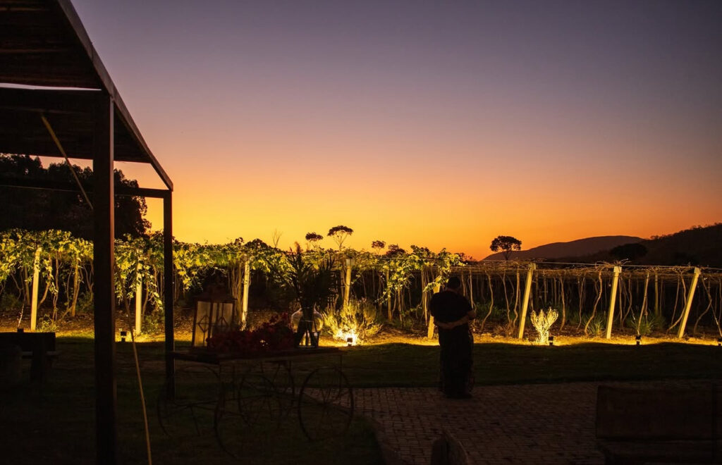 Festa da Colheita traz experiências únicas em julho - IMG 8830