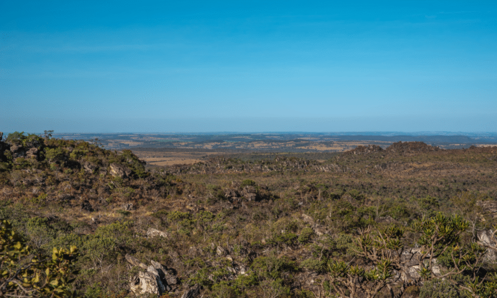 Revista Fórum destaca Pirenópolis como encontro de biomas - jii 10