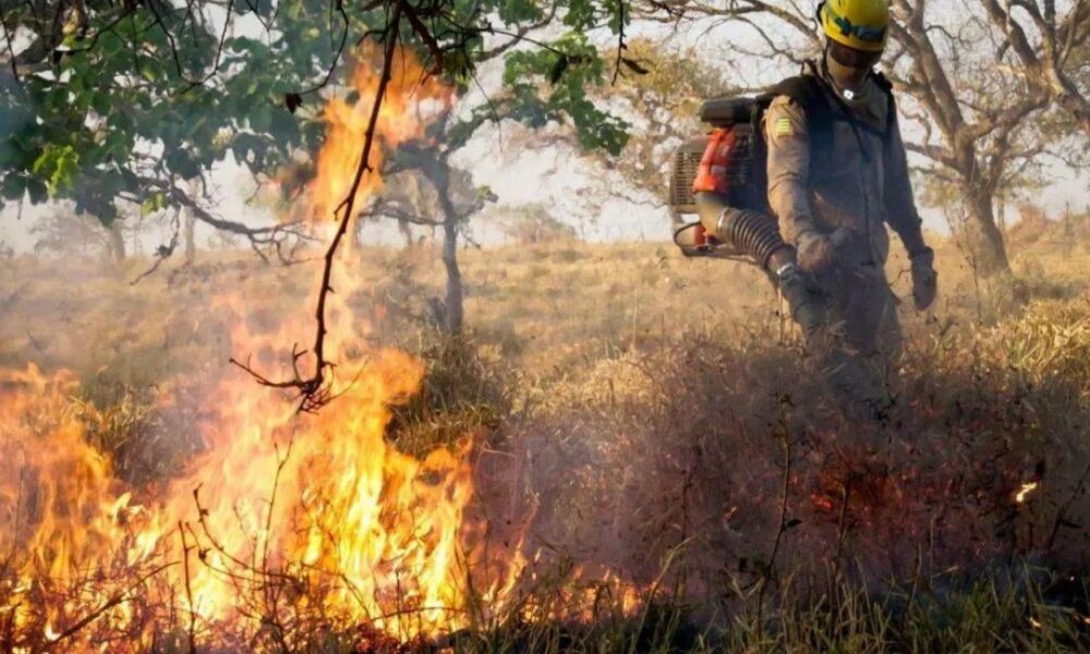 Governo intensifica ações de prevenção e combate às queimadas - jii 2025 07 14T003331.938