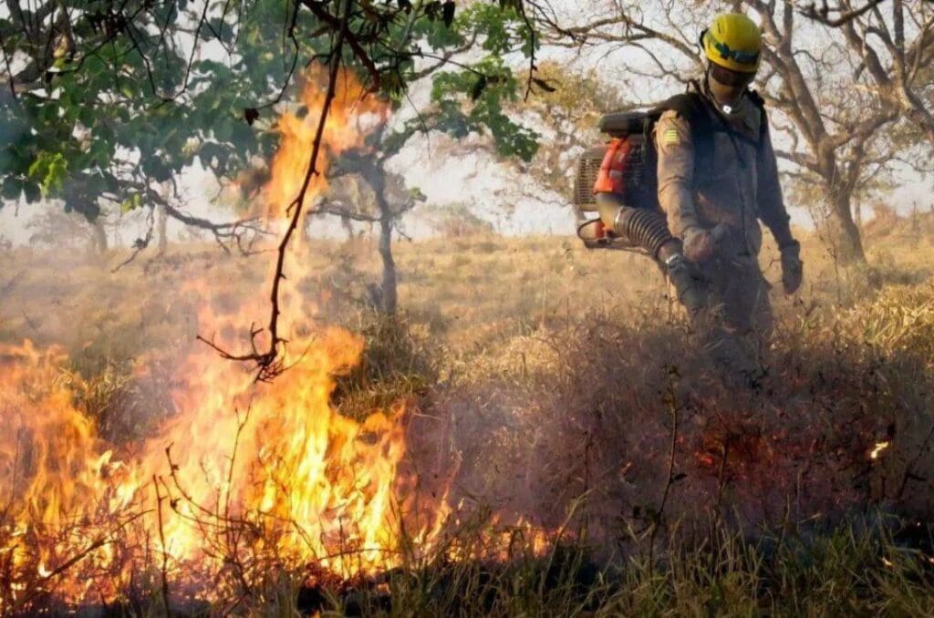 Governo intensifica ações de prevenção e combate às queimadas