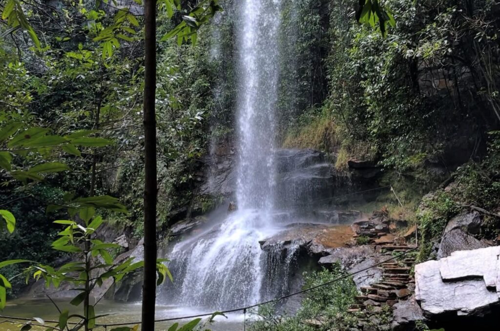 Atrativos naturais que são pet-friendly em Pirenópolis - jii 2025 07 15T112940.897