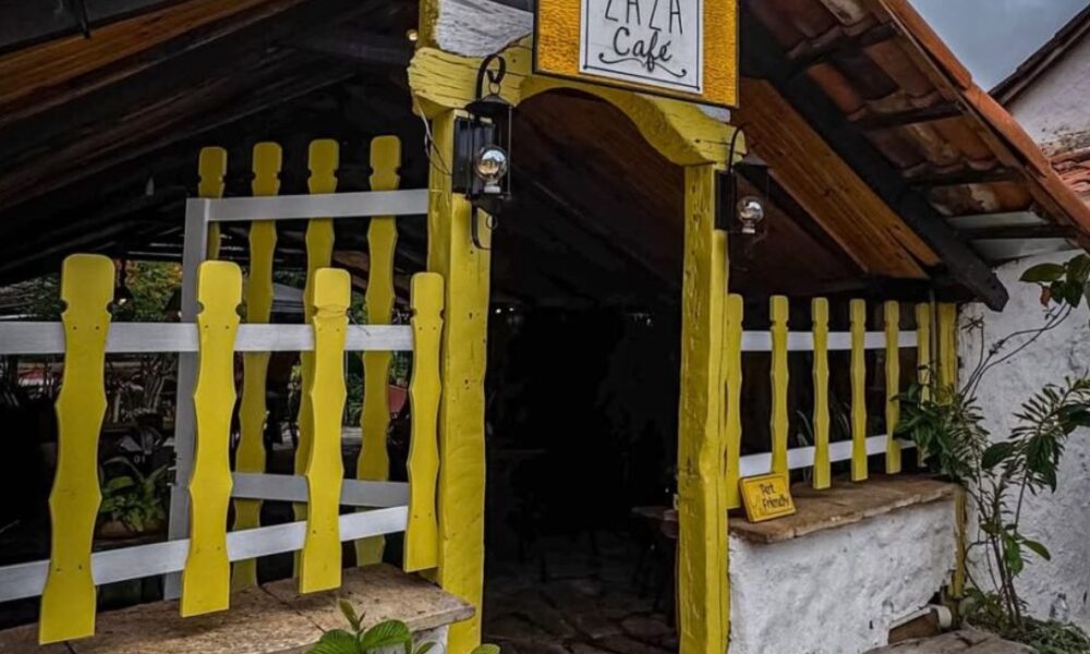 Vai ter bloco, sim! Zazaricando agita Piri dia 26 - jii 2025 07 23T143850.037