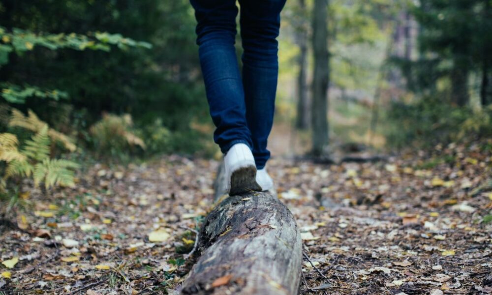 Consulta Pública sobre Trilhas termina nesta quinta: participe! - jii 2025 07 24T160218.489