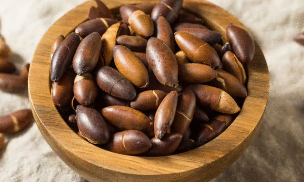 Baru é o tesouro nutritivo e versátil do Cerrado - jii 3