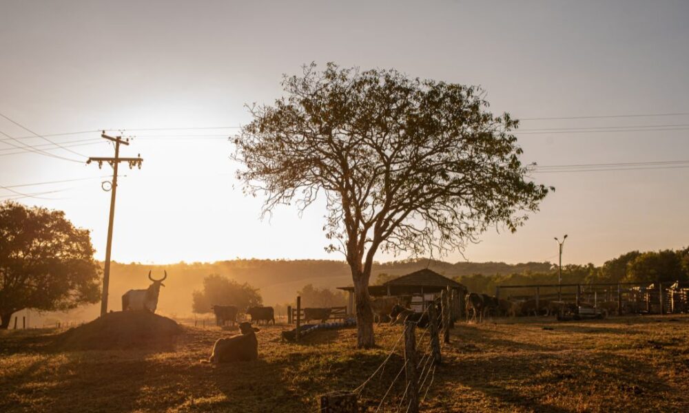 Goiás lança projeto para fortalecer produtores rurais - jii 60