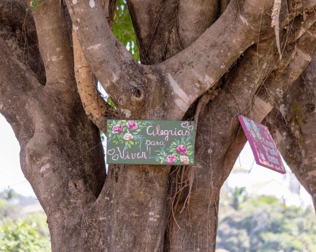 Alegrias para viver: um lembrete poético nas ruas de Piri - 2 7