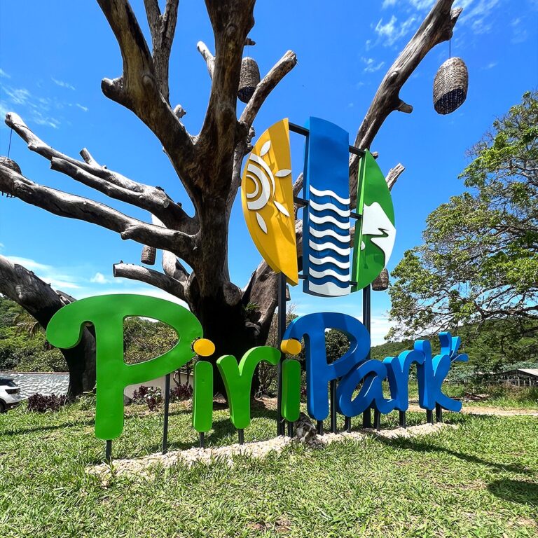 Piri Park: Parque Aquático Com Estrutura Premium pertinho de Pirenópolis