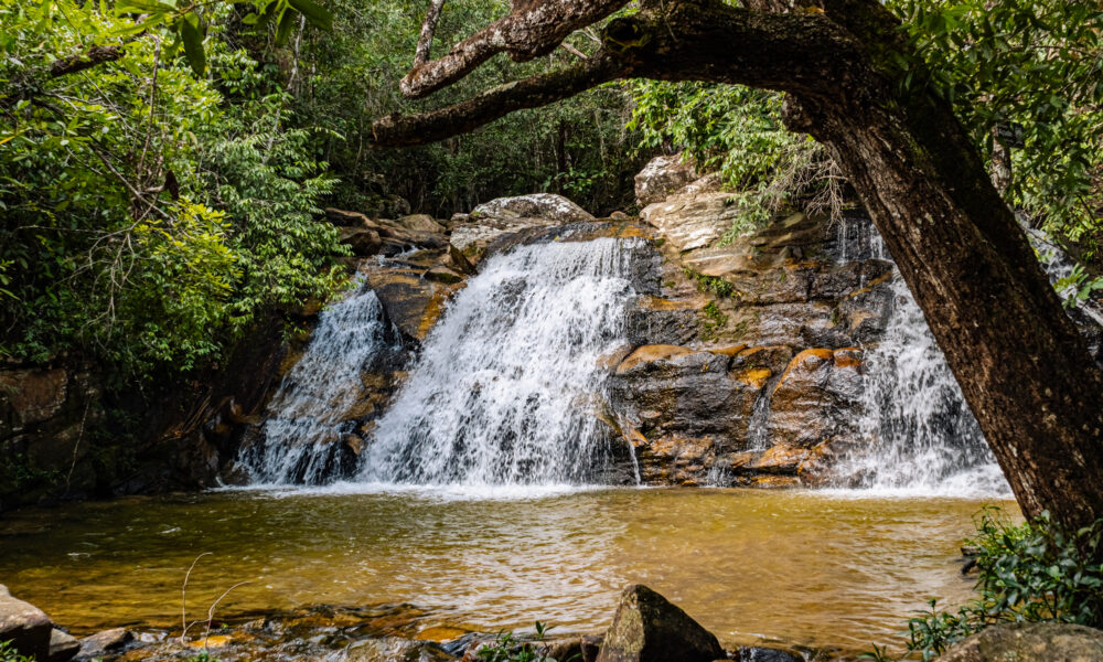 Cachoeiras de Pirenópolis: energia, purificação e renovação - DSC00160